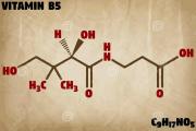 认识维生素B5（泛酸）