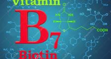 认识生物素（维生素B7）