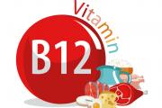 认识维生素B12