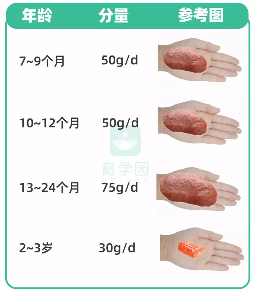 孩子的DHA怎么补