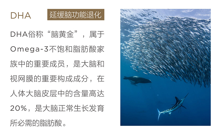 美乐家生命活力营养宝典-大脑亚健康