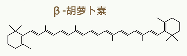 美乐家生命活力营养宝典-科学护眼 守住清晰力