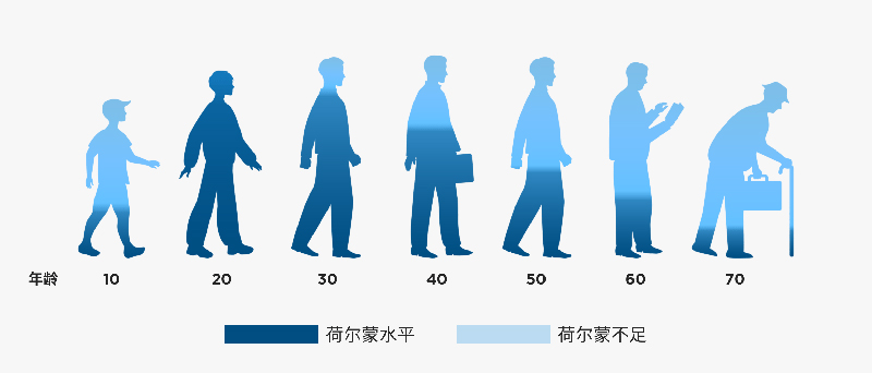 美乐家威格尔黑玛咖压片糖果
