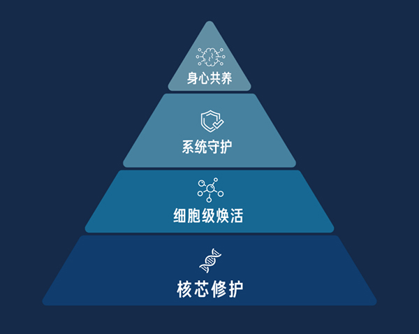 美乐家基健能悦活固体饮料