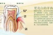 含氟牙膏—凉薄荷/淡薄荷