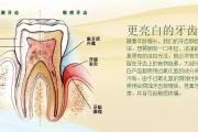 洁齿牙膏—鲜薄荷/醇肉桂