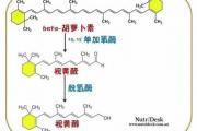 为什么要补充维生素A？怎么补？