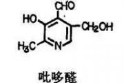 认识维生素B6