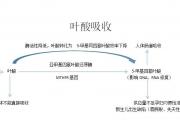 七大营养素，你了解多少？——维生素篇之十三 维生素B9（叶酸）