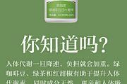 然倍速绿咖啡豆压片糖果是怎样加速代谢、维持匀称体型的？