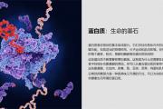 复源力蛋白棒-可可红茶味