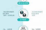 一图读懂动物蛋白和植物蛋白的区别