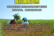为什么美乐家的产品性价比那么高？