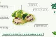 诺丽果汁品牌那么多，为什么我只选择美乐家的复合果汁？