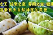 诺丽果汁品牌那么多，为什么我只选择美乐家的复合果汁？