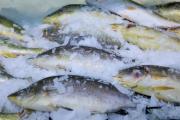 很多血栓是吃出来的！血栓最怕的6类食物，在这儿→