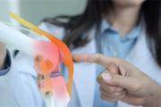 生命活力 营养宝典（六）骨骼与关节的健康秘密