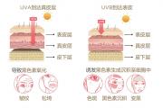 生命活力 营养宝典（十）保持肌肤年轻的秘密
