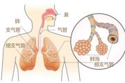 生命活力 营养宝典（十一）守护呼吸健康