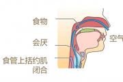 生命活力 营养宝典（十一）守护呼吸健康