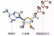 锐宝士果味软糖