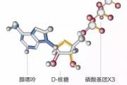 锐宝士果味软糖