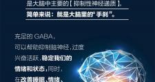 你知道GABA是什么吗？原来如此重要