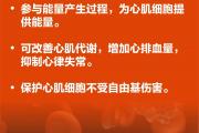 世界心脏日，聊聊关于心脏的那些事