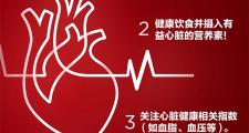 世界心脏日，聊聊关于心脏的那些事