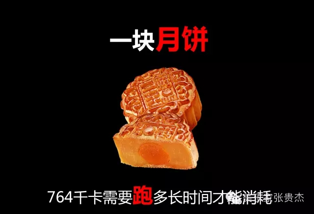 美乐家蛋白粉-巧克力味