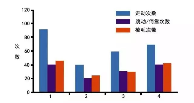 美乐家马齿苋压片糖果