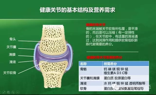 美乐家径捷能果味饮料