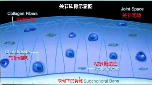 美乐家径捷能果味饮料