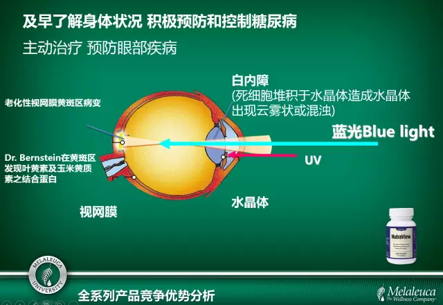 观适健蓝莓咀嚼片