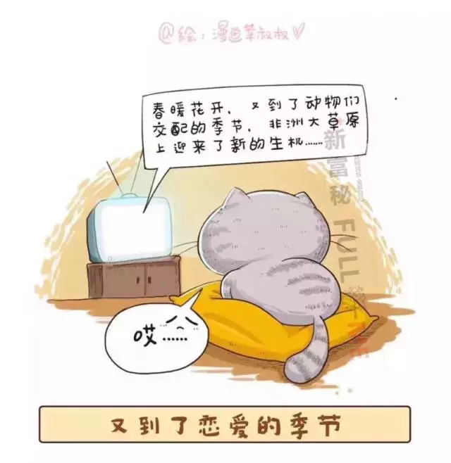 天然精油宠物洗毛精