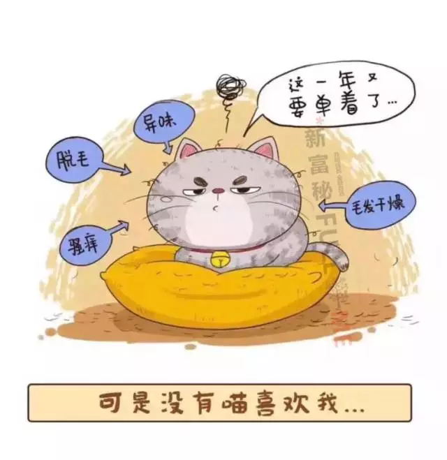 天然精油宠物洗毛精
