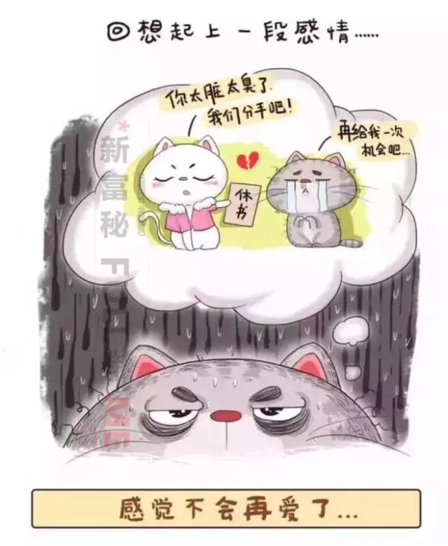 天然精油宠物洗毛精