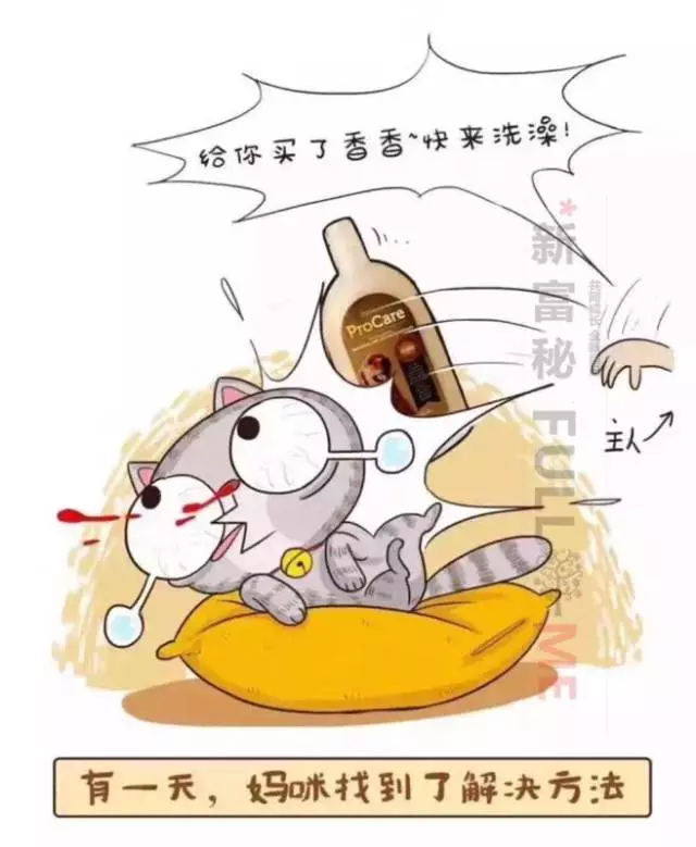 天然精油宠物洗毛精