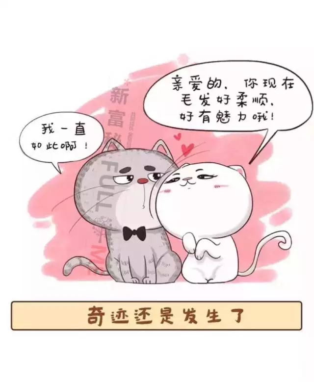 天然精油宠物洗毛精