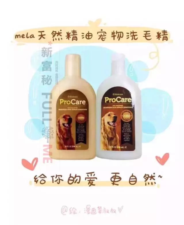 天然精油宠物洗毛精