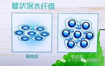 爱菲亚紧致淡纹面膜（车前草）