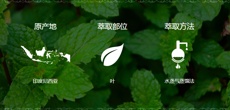 美乐家纯质广藿香精油