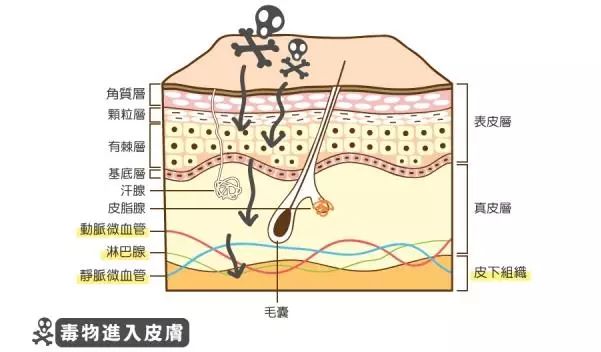 换个安全的品牌，远离经皮毒