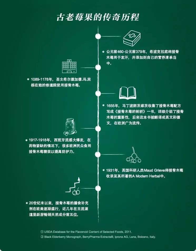 接骨木果实可以帮助对抗流感