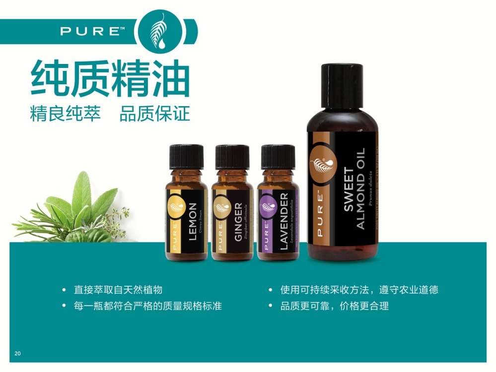 认识美乐家详细介绍