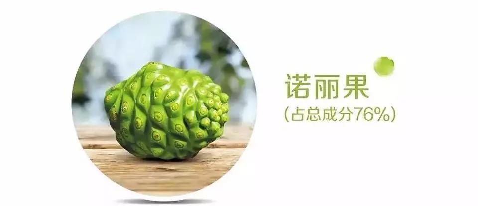 诺丽果的17个好处