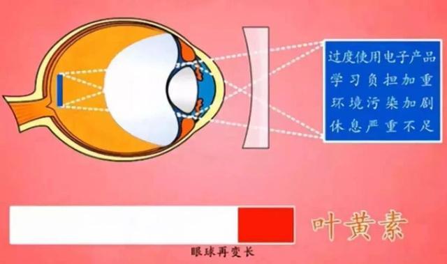 身体各器官最爱的食物全在这，这样更健康