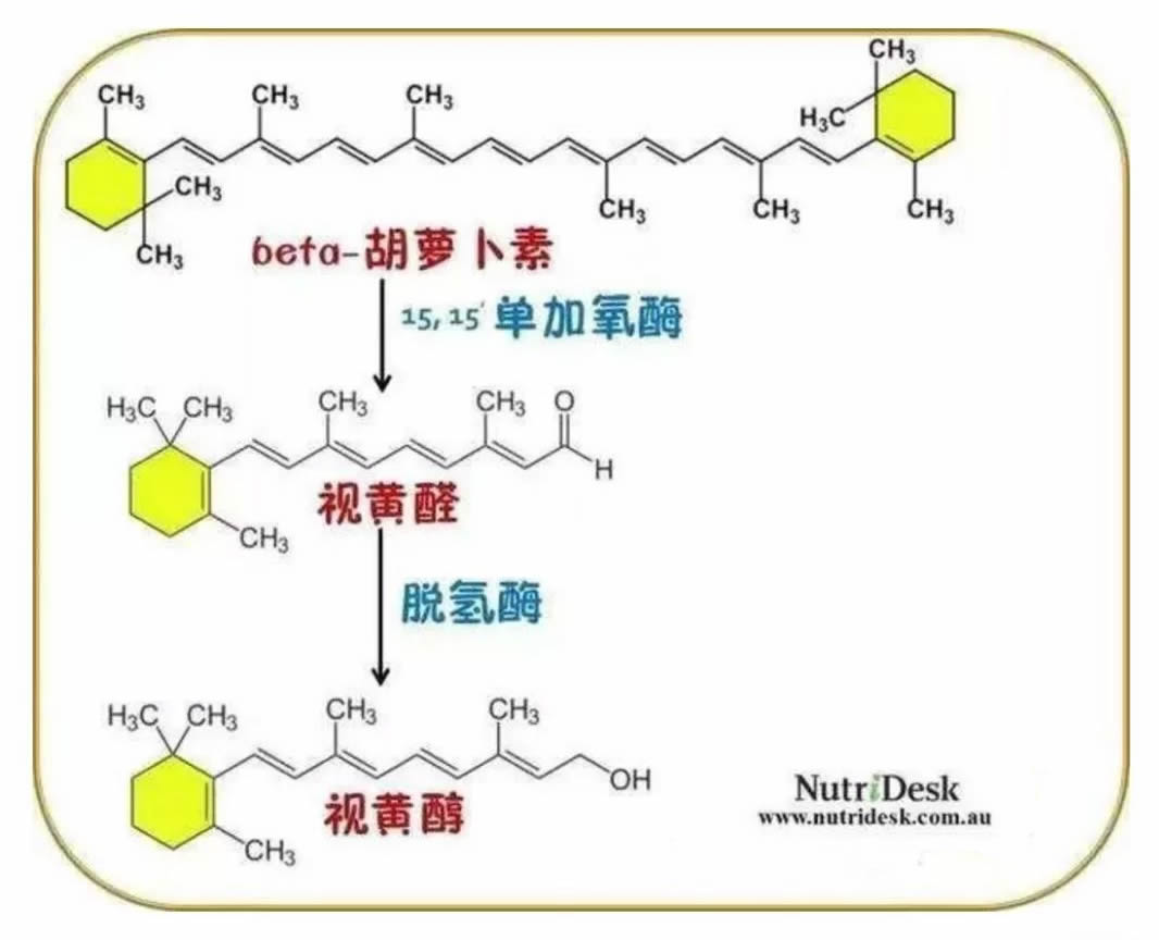 为什么要补充维生素A