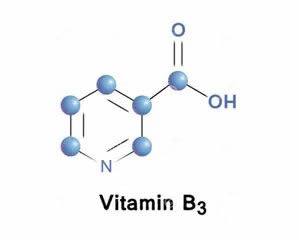 认识维生素B3