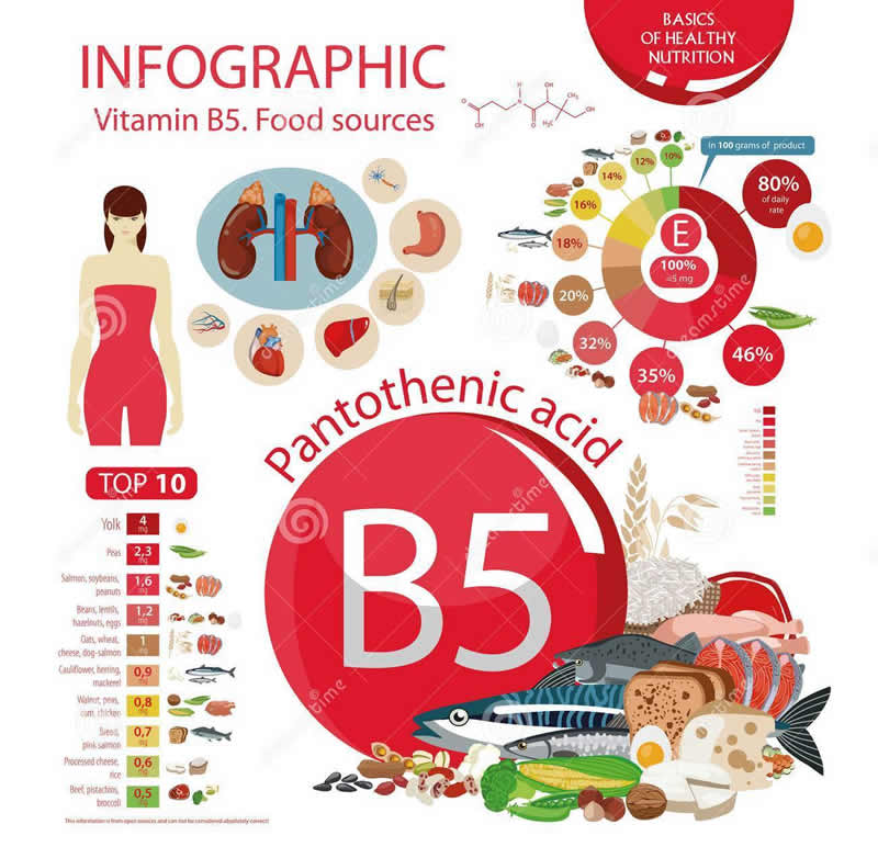 认识维生素B5（泛酸）